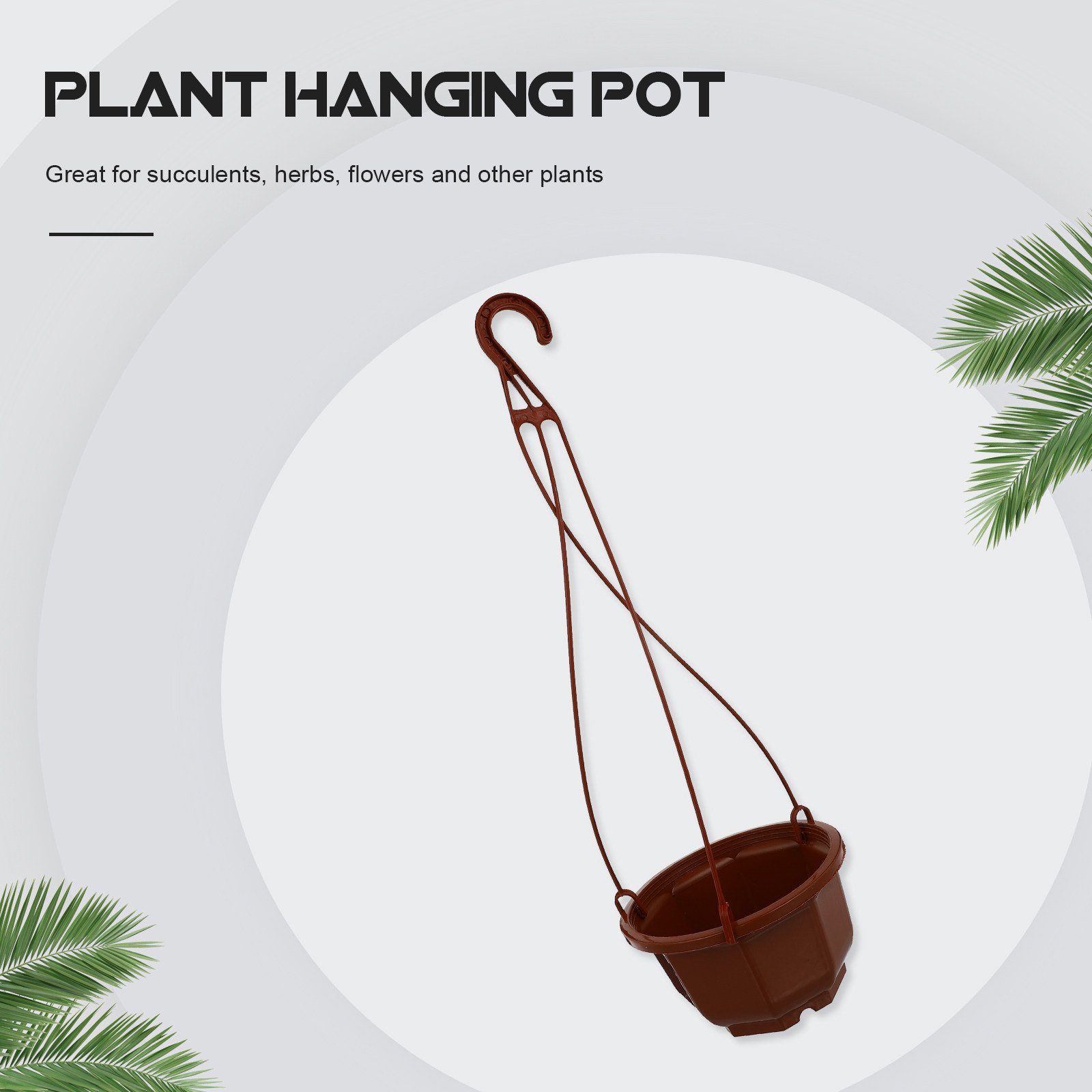 6 مجموعات من أواني الزهور المع - مراجعة Spider Plant Hanging وسعره