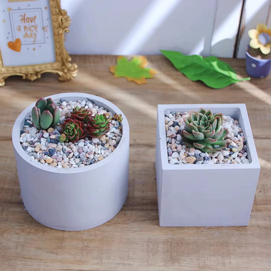 قالب سيليكون كبير الحجم 15 سم  - مراجعة Echeveria Succulent وسعره