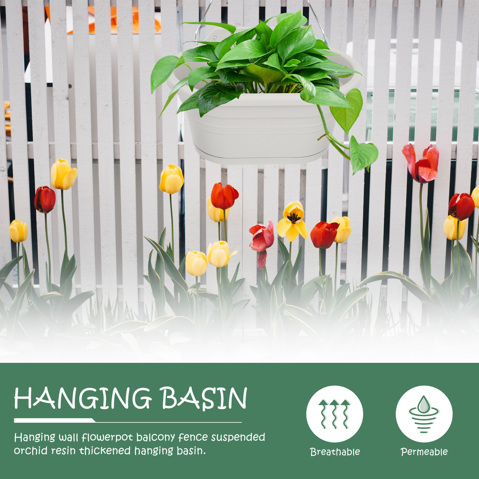 مجموعة أواني زهور معلقة على ال - مراجعة Spider Plant Hanging وسعره